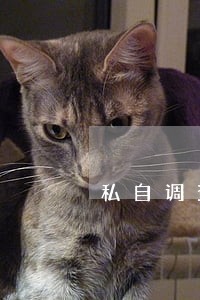 私自调查别人违法吗 私自调查别人违法吗