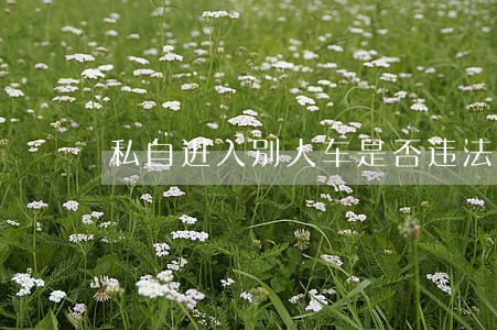 私自进入别人车是否违法 私自进入别人车是否违法