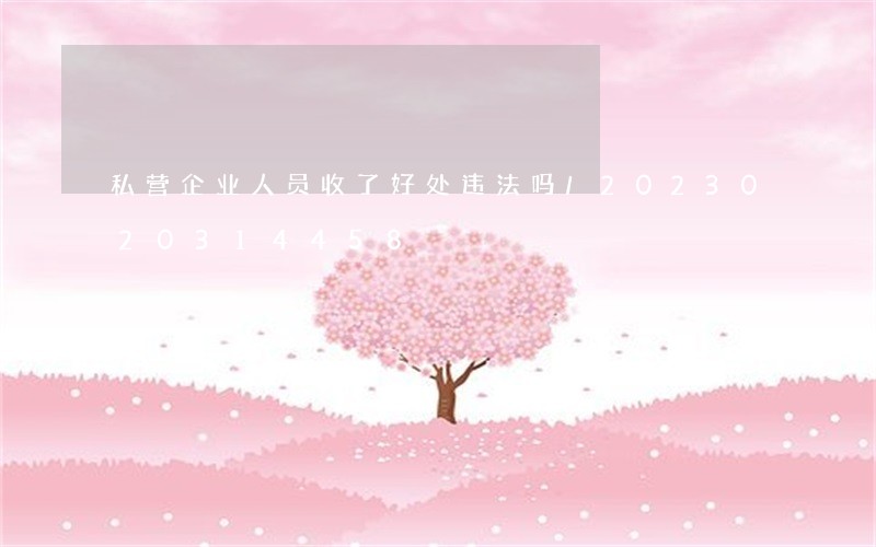 私营企业人员收了好处违法吗/2023020314458 私营企业人员收了好处违法吗/2023020314458