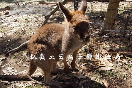 私藏工艺品子弹违法吗 私藏工艺品子弹违法吗