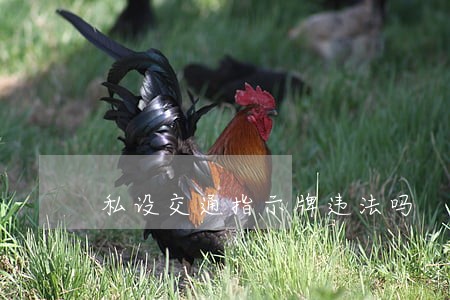 私设交通指示牌违法吗 私设交通指示牌违法吗