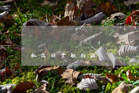私设公堂触刑法 私设公堂触刑法