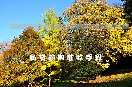 私贷逾期催收手段 私贷逾期催收手段