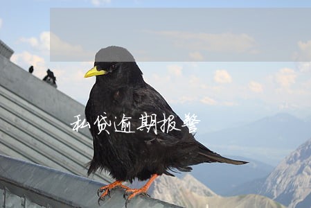 私贷逾期报警 私贷逾期报警