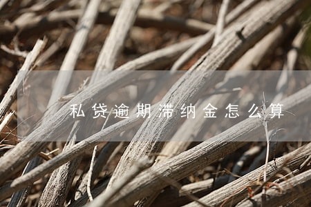 私贷逾期滞纳金怎么算 私贷逾期滞纳金怎么算