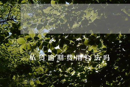 私贷逾期费用合法吗