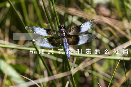 私闯民宅按刑法怎么处置 私闯民宅按刑法怎么处置