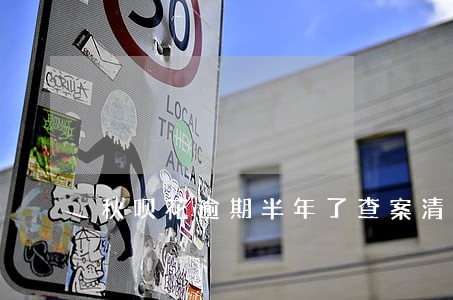 秋呗花逾期半年了查案清单啥意思 秋呗花逾期半年了查案清单啥意思