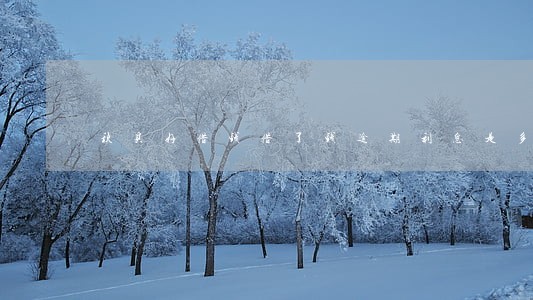 秋贝好借钱借了钱逾期利息是多少 秋贝好借钱借了钱逾期利息是多少