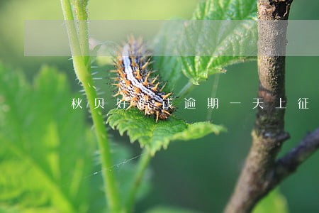 秋贝好借钱逾期一天上征信吗 秋贝好借钱逾期一天上征信吗