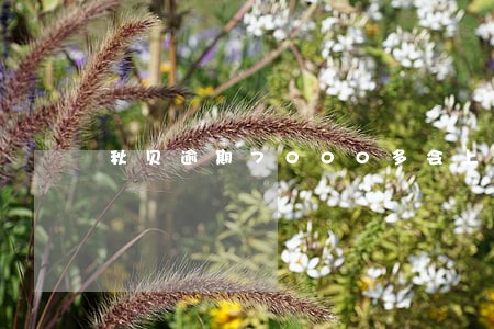 秋贝逾期7000多会上门吗 秋贝逾期7000多会上门吗