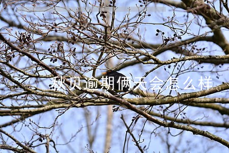 秋贝逾期俩天会怎么样 秋贝逾期俩天会怎么样