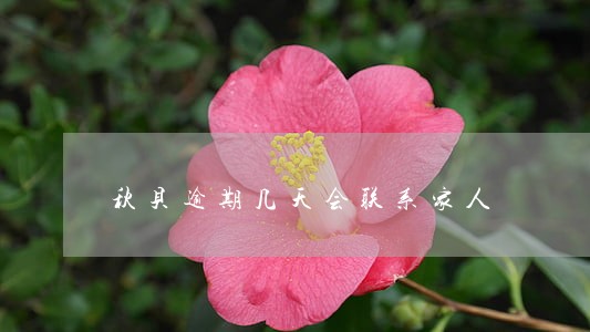 秋贝逾期几天会联系家人 秋贝逾期几天会联系家人