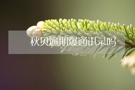 秋贝逾期爆通讯录吗 秋贝逾期爆通讯录吗