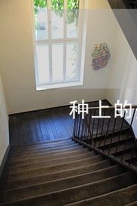 种上的是什么序