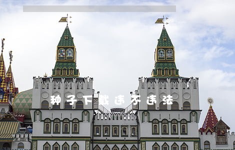 种子下载违不违法 种子下载违不违法