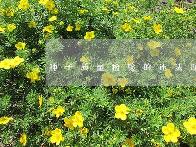 种子质量检验的违法现象 种子质量检验的违法现象