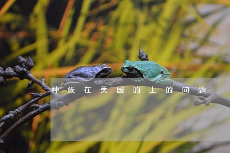 种族在美国的上的问题 种族在美国的上的问题