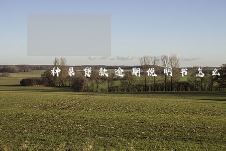 种果贷款逾期说明书怎么写好 种果贷款逾期说明书怎么写好
