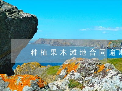 种植果木滩地合同逾期了 种植果木滩地合同逾期了
