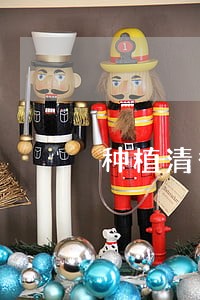 种植清香木违法吗 种植清香木违法吗