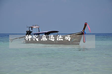 种火麻违法吗