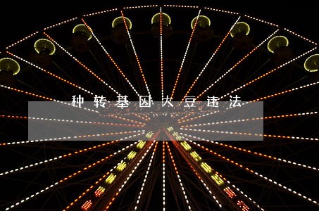 种转基因大豆违法 种转基因大豆违法