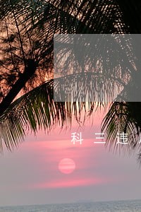 科三违反交通法规是什么