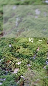 科三逾期缴费咋办 科三逾期缴费咋办