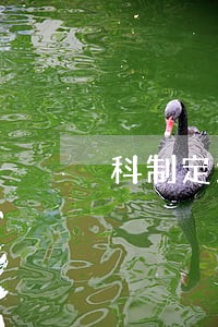 科制定地方性法规的机关 科制定地方性法规的机关