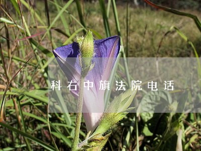 科右中旗法院电话 科右中旗法院电话