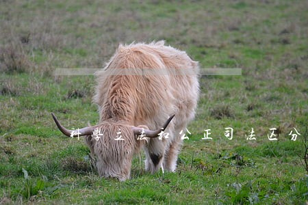 科学立法和公正司法区分 科学立法和公正司法区分
