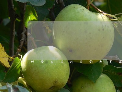 科学立法的目的是要保证什么 科学立法的目的是要保证什么