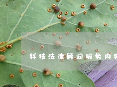 科技法律顾问服务内容 科技法律顾问服务内容
