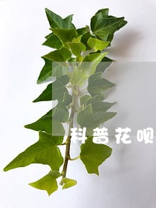 科普花呗逾期会上个人征信吗 科普花呗逾期会上个人征信吗