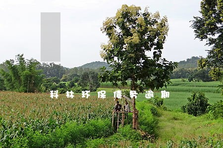 科林环保债务逾期 科林环保债务逾期