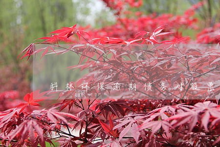 科林环保逾期债务对股票的影响 科林环保逾期债务对股票的影响