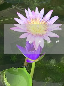 科泽律师事务所 科泽律师事务所