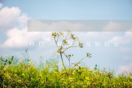科目一逾期会发短信么