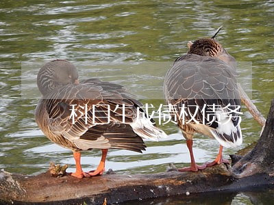 科目生成债权债务 科目生成债权债务