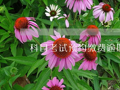 科目考试预约缴费逾期 科目考试预约缴费逾期