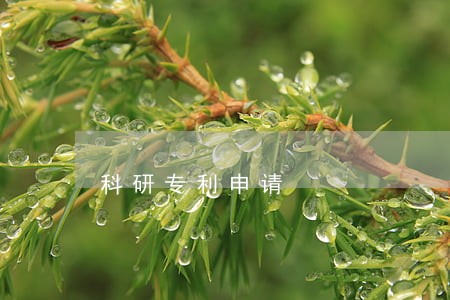 科研专利申请 科研专利申请