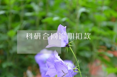 科研合同逾期扣款 科研合同逾期扣款