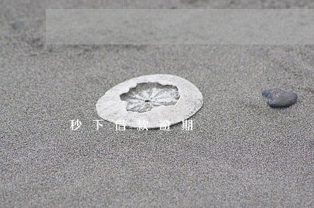 秒下借款逾期 秒下借款逾期