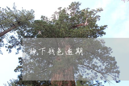 秒下钱包逾期 秒下钱包逾期