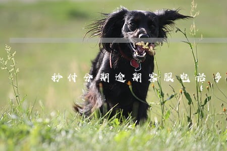 秒付分期逾期客服电话多少 秒付分期逾期客服电话多少