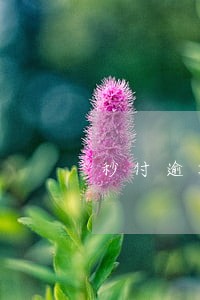 秒付逾期会上门吗 秒付逾期会上门吗
