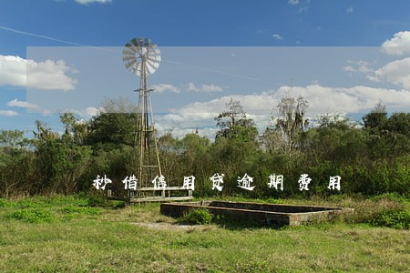 秒借信用贷逾期费用 秒借信用贷逾期费用