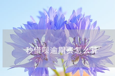 秒借呗逾期费怎么算 秒借呗逾期费怎么算