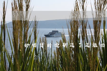 秒借贷的逾期还了还能借么 秒借贷的逾期还了还能借么